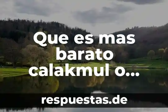 Qué es más barato en España tren o autobús 6 Que es mas barato calakmul o chichen itza