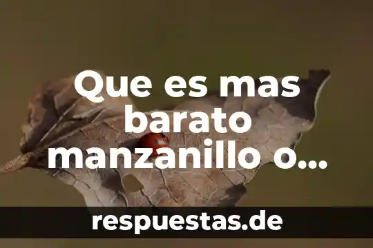 Qué es más barato en España tren o autobús 5 Que es mas barato manzanillo o mazatlan