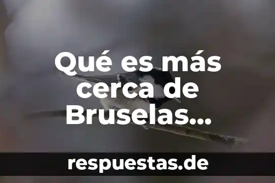 Que es mas toxico el plomo o el silicio 5 Qué es más cerca de Bruselas, Gante o Brujas