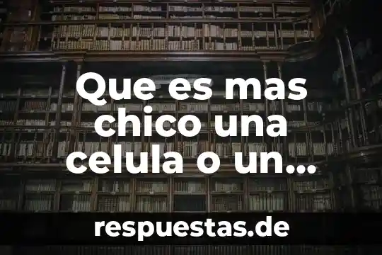 ¿Qué es la mitocondria de la célula animal? 5 Que es mas chico una celula o un tejido