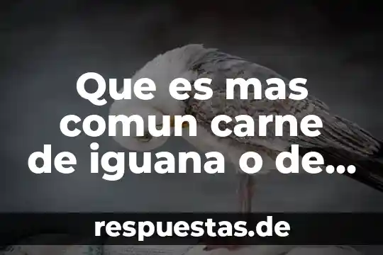 Corte de carne que es un hueso largo muy grande 3 Que es mas comun carne de iguana o de vibora
