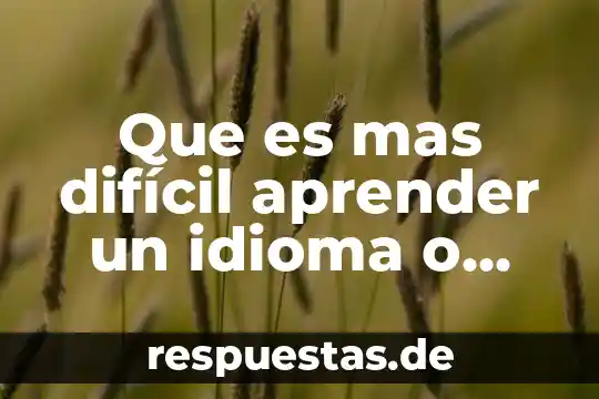 Que es un ensayo en idioma español 8 Que es mas difícil aprender un idioma o matemáticas