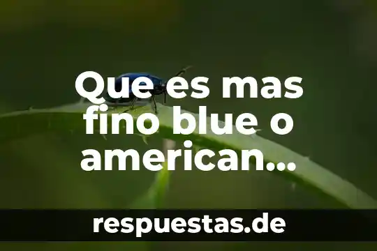 Que es mas un obispo o un arzobispo 3 Que es mas fino blue o american stanford