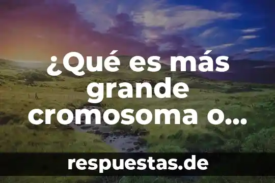 ¿Qué es más grande cromosoma o mitocondria?