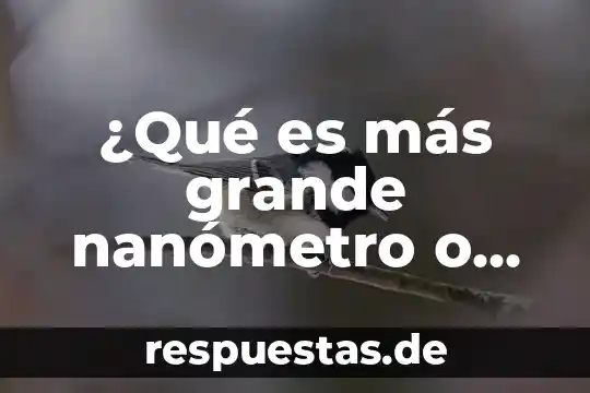 ¿Qué es más grande nanómetro o micrómetro?