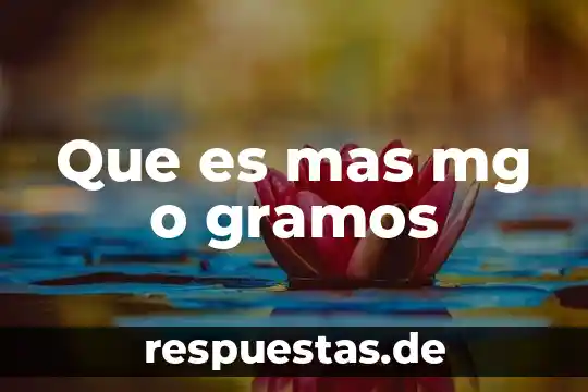 Que es lo que mas gusta del arte 8 Que es mas mg o gramos