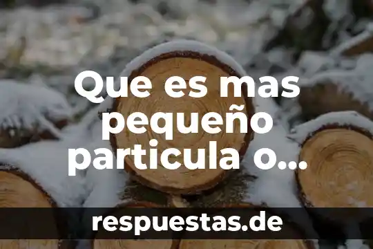 Que es mas pequeño particula o molecula