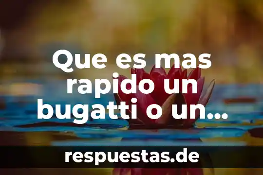 Qué es técnica concepto rápido 5 Que es mas rapido un bugatti o un avion