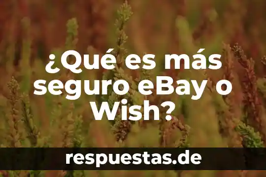 Qué es lo más interesante el ser médico veterinario 3 ¿Qué es más seguro eBay o Wish?