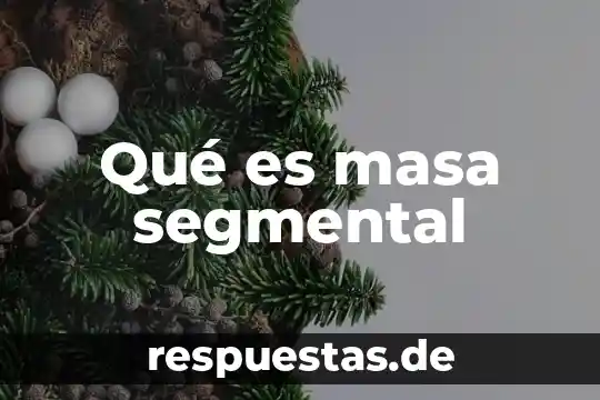 Que es tener un mismo numero atomico pero diferente masa 6 Qué es masa segmental
