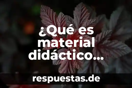 ¿Qué es material didáctico definición?