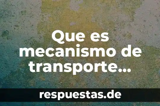 Que es la oxacilina mecanismo de accion 3 Que es mecanismo de transporte celular