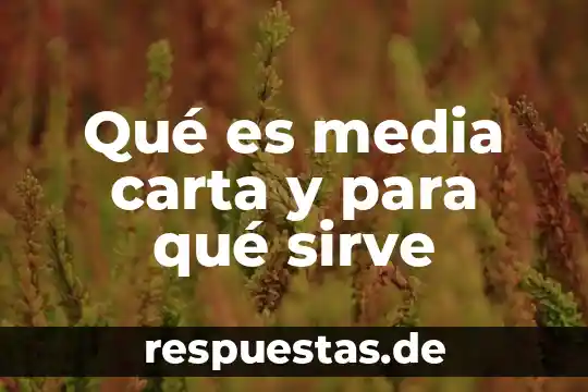 Que es la media en historia libros 3 Qué es media carta y para qué sirve