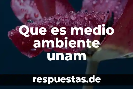 Que es idea juricos unam 6 Que es medio ambiente unam