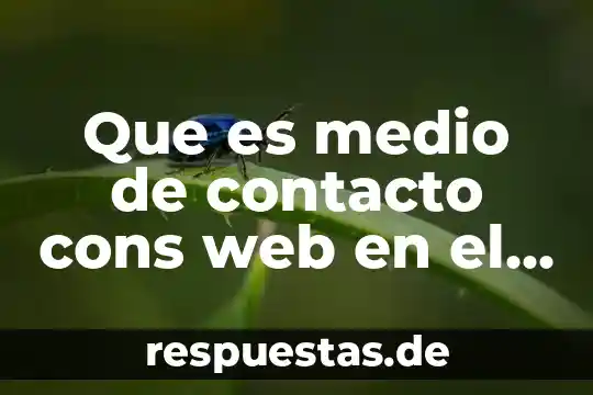 Que es la cultura turistica para personal de contacto 7 Que es medio de contacto cons web en el sat