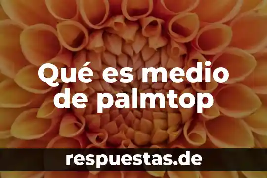 Sudor medio qué es 3 Qué es medio de palmtop