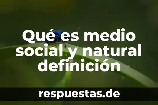 Que es un medio de cultivoliquido 3 Qué es medio social y natural definición