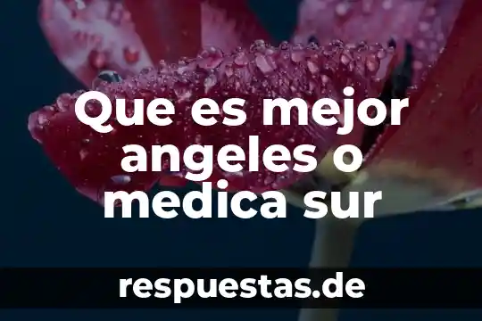 Que es la drogadiccion en mi sociedad 3 Que es mejor angeles o medica sur