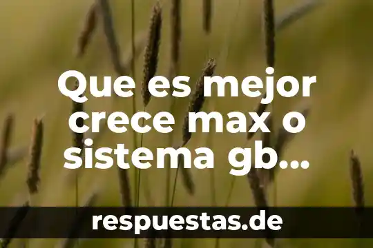 Que es mas un gb o un mg 6 Que es mejor crece max o sistema gb solucion alopecia