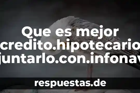 Que es mejor socialismo o regimen militar 7 Que es mejor credito.hipotecario o.juntarlo.con.infonavit