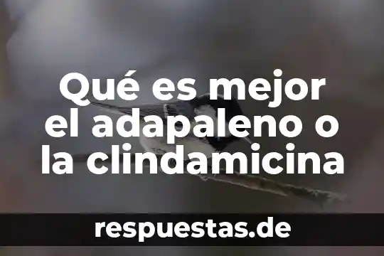 Que es mejor socialismo o regimen militar 8 Qué es mejor el adapaleno o la clindamicina