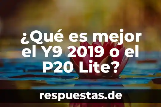 Que es pavp lite mode 4 ¿Qué es mejor el Y9 2019 o el P20 Lite?