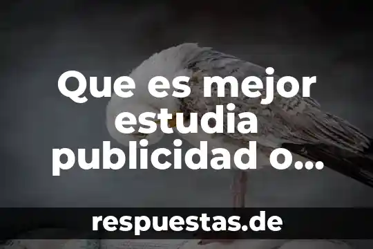Que es levantisco en historia 8 Que es mejor estudia publicidad o administracion