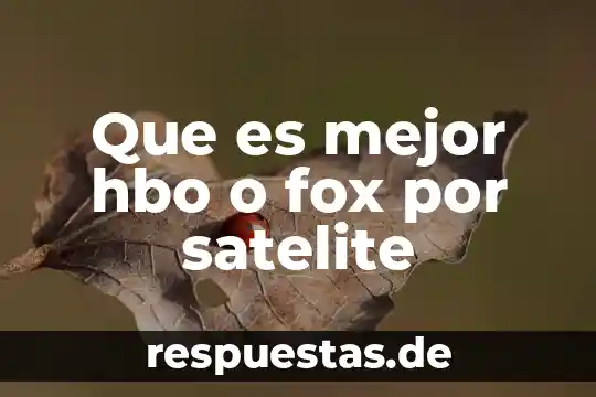 ¿Qué es mejor PrestaShop o WooCommerce? 7 Que es mejor hbo o fox por satelite