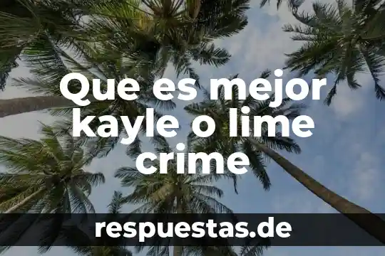 ¿Qué es mejor PrestaShop o WooCommerce? 8 Que es mejor kayle o lime crime
