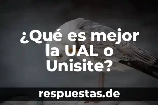 ¿Qué es mejor PrestaShop o WooCommerce? 3 ¿Qué es mejor la UAL o Unisite?