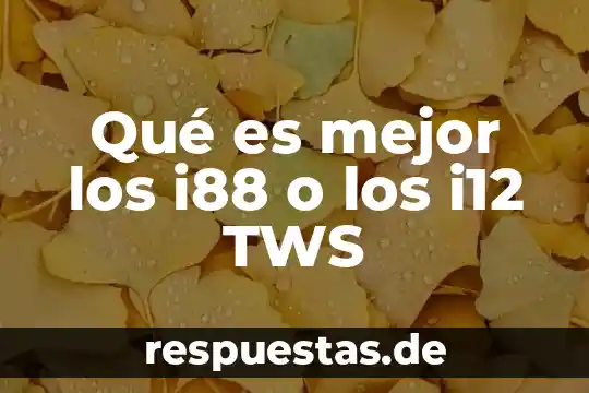 Que es mejor socialismo o regimen militar 4 Qué es mejor los i88 o los i12 TWS