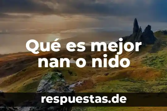 Qué es mejor nan o nido