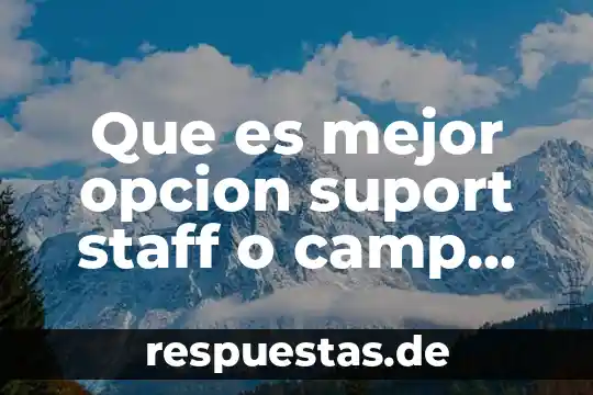 Que es mejor opcion suport staff o camp counselor