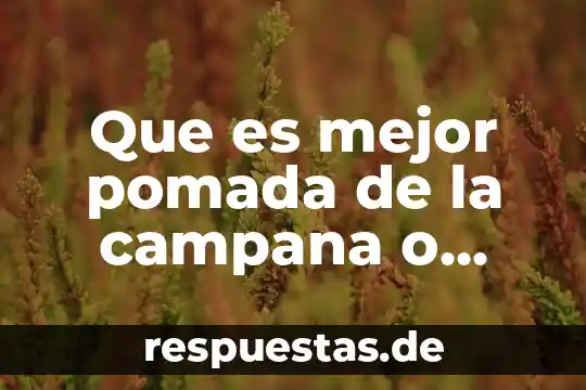 Ww4 que es 4 Que es mejor pomada de la campana o concha nacar