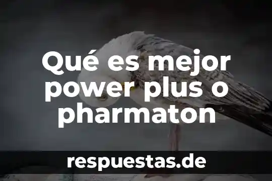 Que es plantilla de diseño power point 5 Qué es mejor power plus o pharmaton