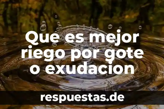 Que es mejor riego por gote o exudacion