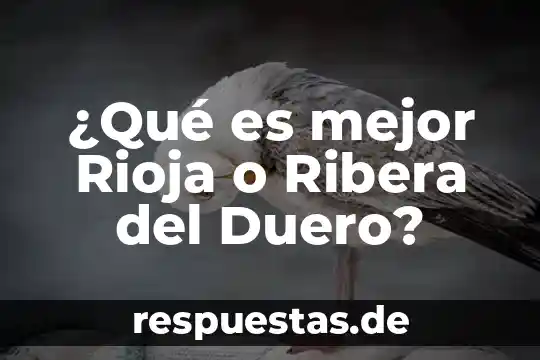 Que es mejor ariel o mas color 6 ¿Qué es mejor Rioja o Ribera del Duero?