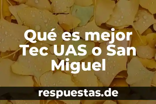 Qué es mejor Tucson o San Antonio 6 Qué es mejor Tec UAS o San Miguel