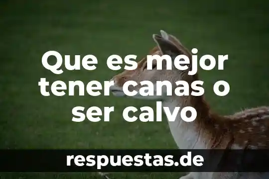 Que es mejor tener canas o ser calvo