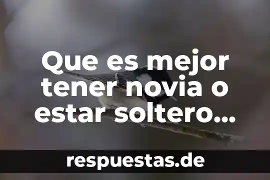 Que es mejor tener novia o estar soltero yahoo
