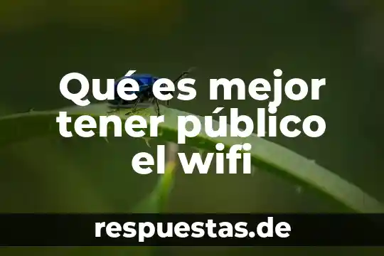 Que es tener mi vida en sociedad 3 Qué es mejor tener público el wifi