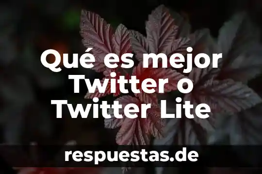 Que es pavp lite mode 5 Qué es mejor Twitter o Twitter Lite
