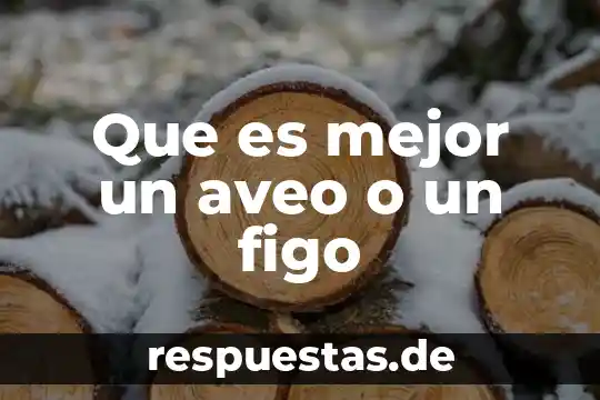 Que es mejor chocolate abuelita o ibarra 6 Que es mejor un aveo o un figo