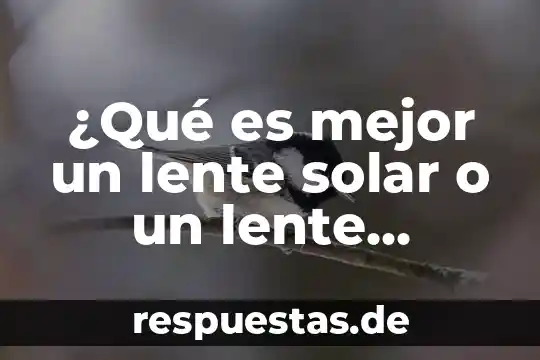 Qué es una planta eléctrica solar 4 ¿Qué es mejor un lente solar o un lente polarizado?