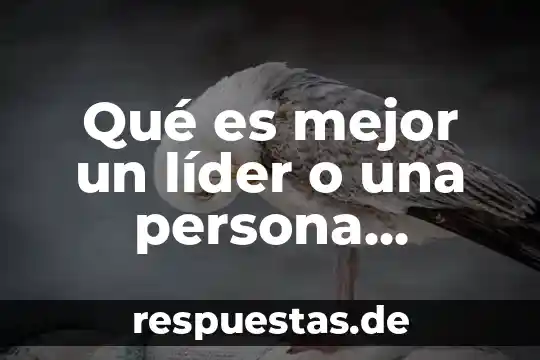 Qué es un líder en la cultura china 8 Qué es mejor un líder o una persona proactiva
