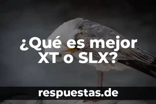 Que es mejor ser inteligente o sabio 3 ¿Qué es mejor XT o SLX?