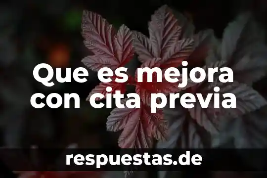 Derecho de cita que es 5 Que es mejora con cita previa
