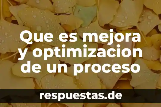 Que es un centro de mejora de interes 6 Que es mejora y optimizacion de un proceso
