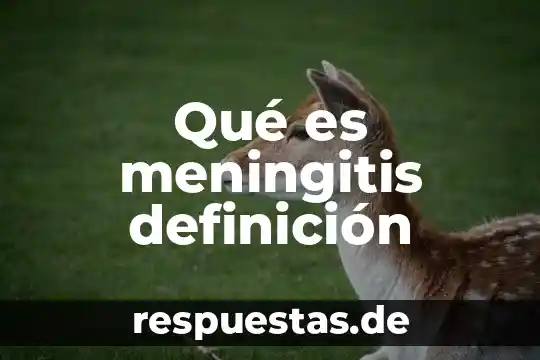 Qué es meningitis definición
