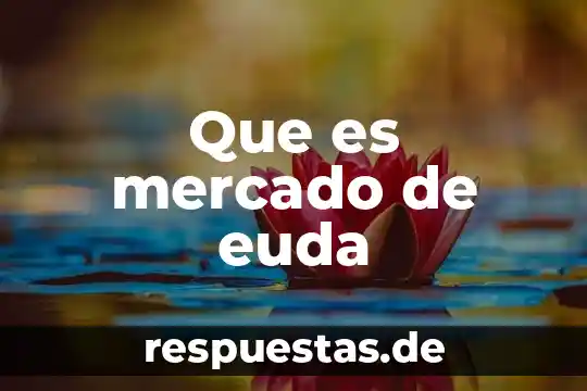 Que es sociedad resumido 7 Que es mercado de euda